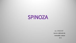 SPINOZA a s 20162017 Lavoro realizzato da Antonella