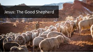 Jesus The Good Shepherd John 10 11 18