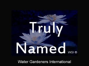 Truly Named WGI Water Gardeners International Turning the