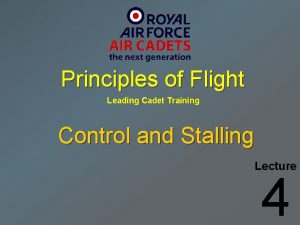 Principles of flight air cadets