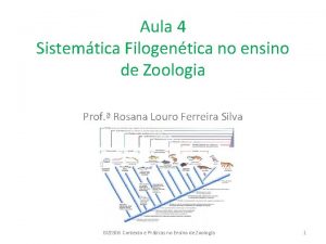 Aula 4 Sistemtica Filogentica no ensino de Zoologia