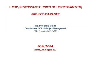 Rup project manager
