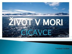 IVOT V MORI CICAVCE Vladimr Drbek Vide a