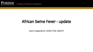 African Swine Fever update Harm Hogen Esch DVM