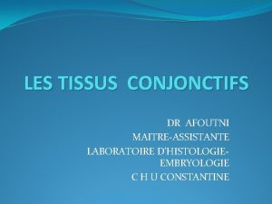 LES TISSUS CONJONCTIFS DR AFOUTNI MAITREASSISTANTE LABORATOIRE DHISTOLOGIEEMBRYOLOGIE