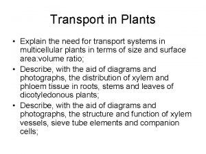Transport in Plants Explain the need for transport
