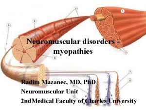 Neuromuscular disorders myopathies Radim Mazanec MD Ph D