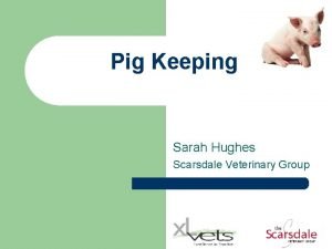 Pig Keeping Sarah Hughes Scarsdale Veterinary Group Overview