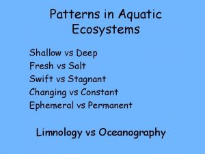 Patterns in Aquatic Ecosystems Shallow vs Deep Fresh