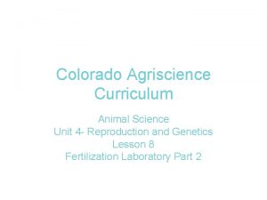 Colorado animal science curriculum