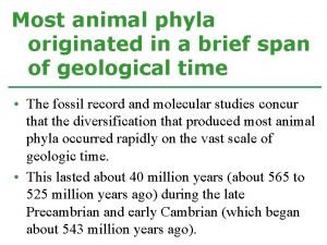 Phylogenetic tree of animal phyla Phylogenetic tree of animal phyla