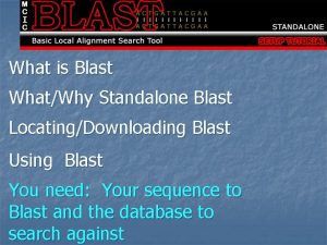 Standalone blast Standalone blast