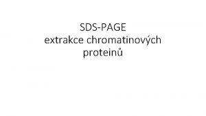 SDSPAGE extrakce chromatinovch protein 1 D SDSPAGE gel