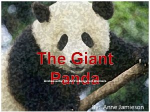 The Giant Panda Ambassador for All Endangered Animals