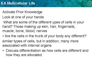 5 5 Multicellular Life Activate Prior Knowledge Look