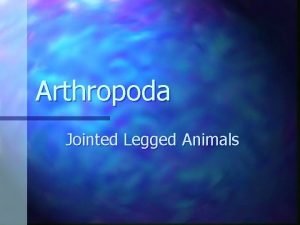 Arthropods are jointed-legged animals. spiders crabs
