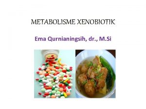 METABOLISME XENOBIOTIK Ema Qurnianingsih dr M Si Xenobiotik