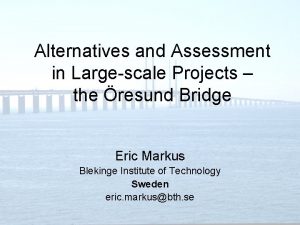 Alternatives and Assessment in Largescale Projects the resund