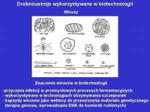 Drobnoustroje wykorzystywane w biotechnologii Wirusy Znaczenie wirusw w