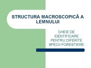 Structura macroscopica a lemnului Structura macroscopica a lemnului