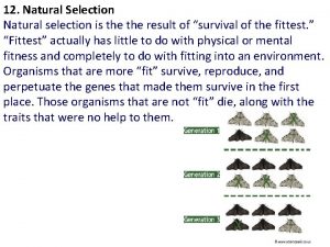 12 Natural Selection Natural selection is the result