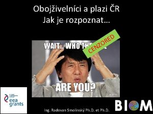 Rozeklaný penis Rozeklaný penis