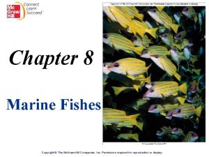 Fish reproductive system