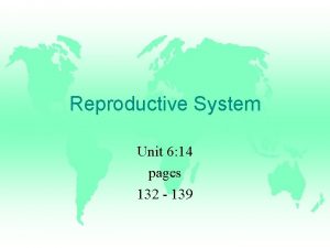 Unit 6:14 reproductive system