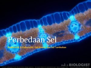 Perbezaan sel tumbuhan dan sel haiwan