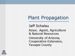 Plant Propagation Jeff Schalau Assoc Agent Agriculture Natural