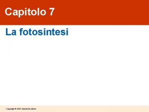 Fotosintesi clorofilliana zanichelli ppt