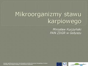 Mikroorganizmy stawu karpiowego Mirosaw Kuczyski PAN ZIi GR