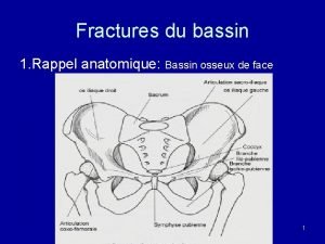 Fractures du bassin 1 Rappel anatomique Bassin osseux