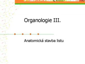 Organologie III Anatomick stavba listu Zakldn list na