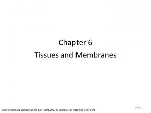 Chapter 6 Tissues and Membranes Elsevier items and