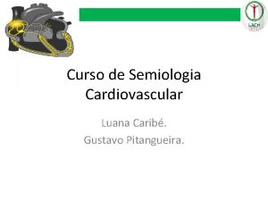 Bulha cardiaca