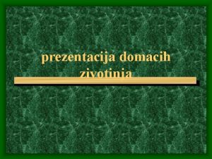 prezentacija domacih zivotinja ivotinje su iva bia koja