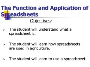 Objectives of spreadsheet