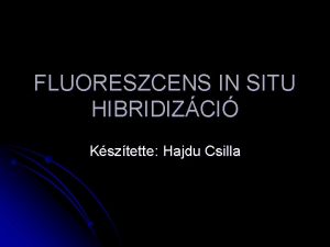 FLUORESZCENS IN SITU HIBRIDIZCI Ksztette Hajdu Csilla Mdszer