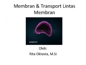 Membran Transport Lintas Membran Oleh Rita Oktavia M