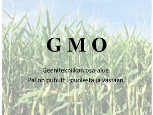 GMO Geenitekniikan osaalue Paljon puhuttu puolesta ja vastaan