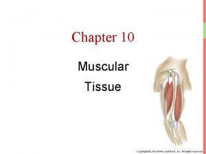 Chapter 10 Muscular Tissue Copyright John Wiley and