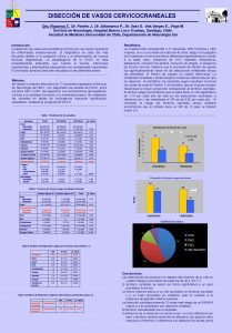 DISECCIN DE VASOS CERVICOCRANEALES Dra Figueroa T Dr