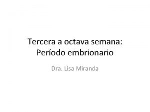 Mesodermo parietal Mesodermo parietal