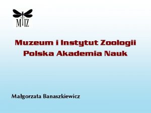 Muzeum i Instytut Zoologii Polska Akademia Nauk Magorzata