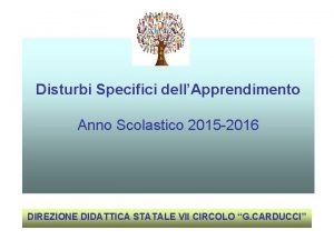 Disturbi Specifici dellApprendimento Anno Scolastico 2015 2016 DIREZIONE