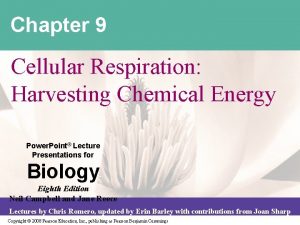 Chapter 9 cellular respiration harvesting chemical energy