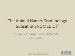 The Animal Names Terminology Subset of SNOMED CT