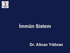 b mmn Sistem Dr Alisan Yldran Sunum Plan