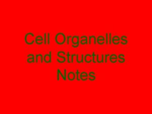 Cell wall function
